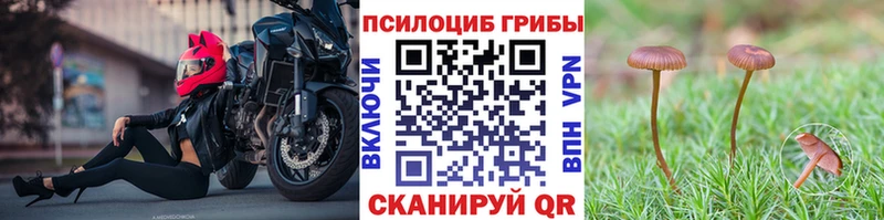кракен как войти  это состав  Псилоцибиновые грибы мицелий  Бобров 